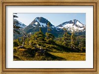 Framed Mount Eccles Near Cordova, Alaska
