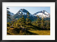 Framed Mount Eccles Near Cordova, Alaska