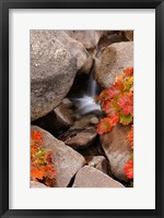 Framed Small Waterfall In The Sierra Nevada Mountains