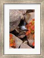 Framed Small Waterfall In The Sierra Nevada Mountains