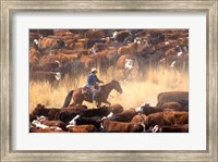 Framed Cowboy Cattle Drive