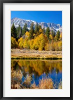 Framed Yosemite's Mount Dana