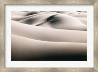 Framed California, Valley Dunes (BW)