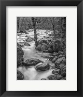 Framed Yosemite Happy Isles, California (BW)