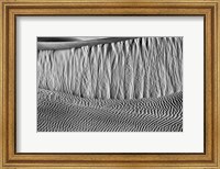 Framed California, Valley Dunes Wall (BW)