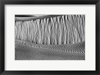 Framed California, Valley Dunes Wall (BW)