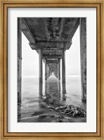 Framed Scripps Pier, California (BW)