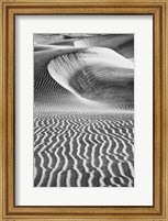 Framed California's Valley Dunes (BW)