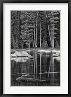 Framed California, Sierra Lake (BW)