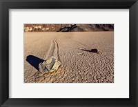 Framed California, Death Valley Racetrack