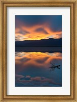 Framed Lone Branch At Cotton Ball Basin