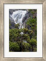 Framed Spring Run-Off At Cascade Falls