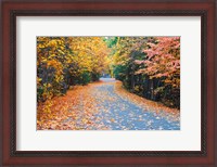 Framed Autumn Along  Mirror Lake Road
