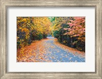 Framed Autumn Along  Mirror Lake Road