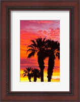 Framed Silhouetted Palms At Sunrise