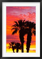 Framed Silhouetted Palms At Sunrise