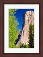 Framed Morning Light On El Capitan