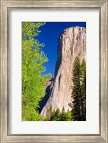 Framed Morning Light On El Capitan