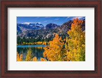 Framed Golden Fall Landscape At June Lake