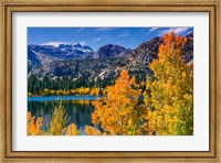 Framed Golden Fall Landscape At June Lake