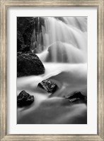 Framed Cascade In Lundy Canyon