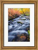 Framed Autumn Colors Along Lundy Creek