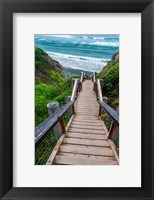 Framed Boardwalk Trail To Sand Dollar Beach