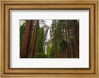 Framed Yosemite Falls Through A Forest