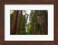 Framed Yosemite Falls Through A Forest