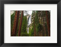 Framed Yosemite Falls Through A Forest