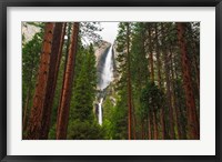 Framed Yosemite Falls Through A Forest