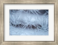 Framed Frost On A Window