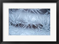 Framed Frost On A Window