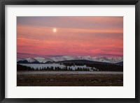 Framed Full Moon And Alpenglow Above Mosquito Range
