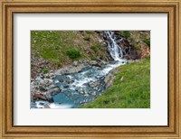 Framed Animas River, Colorado