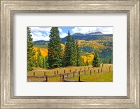 Framed Autumn Colors In The San Juan Mountains, Colorado