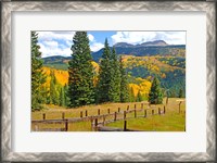 Framed Autumn Colors In The San Juan Mountains, Colorado