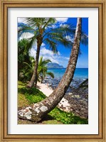 Framed Hideaways Beach, Island Of Kauai, Hawaii