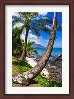 Framed Hideaways Beach, Island Of Kauai, Hawaii