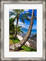 Framed Hideaways Beach, Island Of Kauai, Hawaii