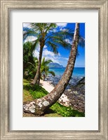 Framed Hideaways Beach, Island Of Kauai, Hawaii