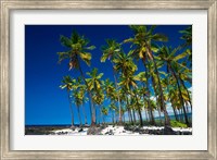 Framed Coconut Palms At Pu'uhonua O Honaunau National Historic Park, Hawaii