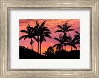 Framed Sunset Through Silhouetted Palm Trees, Kona Coast, Hawaii