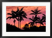 Framed Sunset Through Silhouetted Palm Trees, Kona Coast, Hawaii