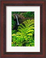 Framed Rainbow Falls, Wailuku River State Park, Hawaii