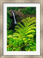 Framed Rainbow Falls, Wailuku River State Park, Hawaii