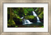 Framed Onomea Waterfalls At The Hawaii Tropical Botanical Garden