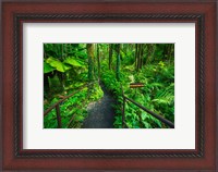 Framed Boulder Creek Trail, Hawaii