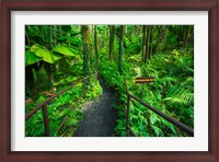 Framed Boulder Creek Trail, Hawaii