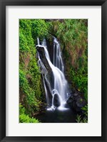 Framed Cascade On The Hamakua Coast, The Big Island, Hawaii